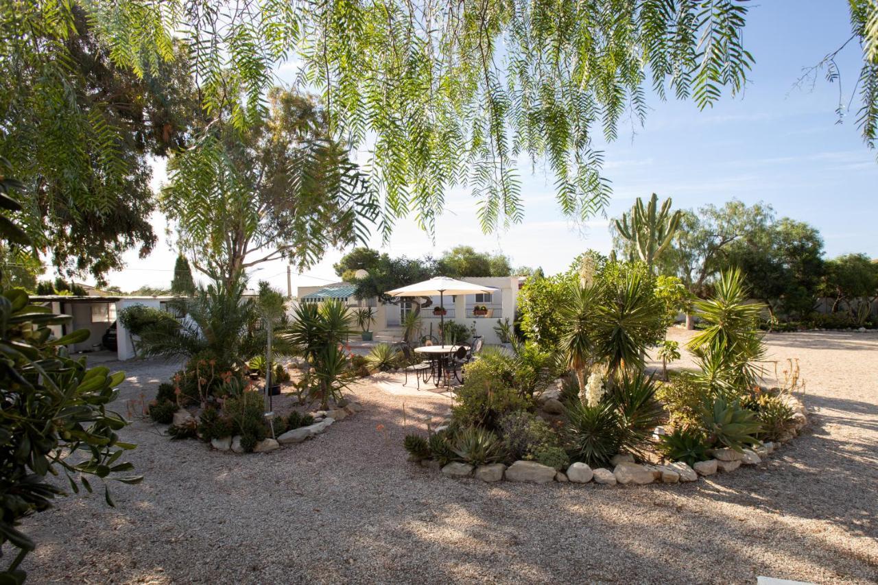 Apartment Costa Blanca Mutxamel Dış mekan fotoğraf