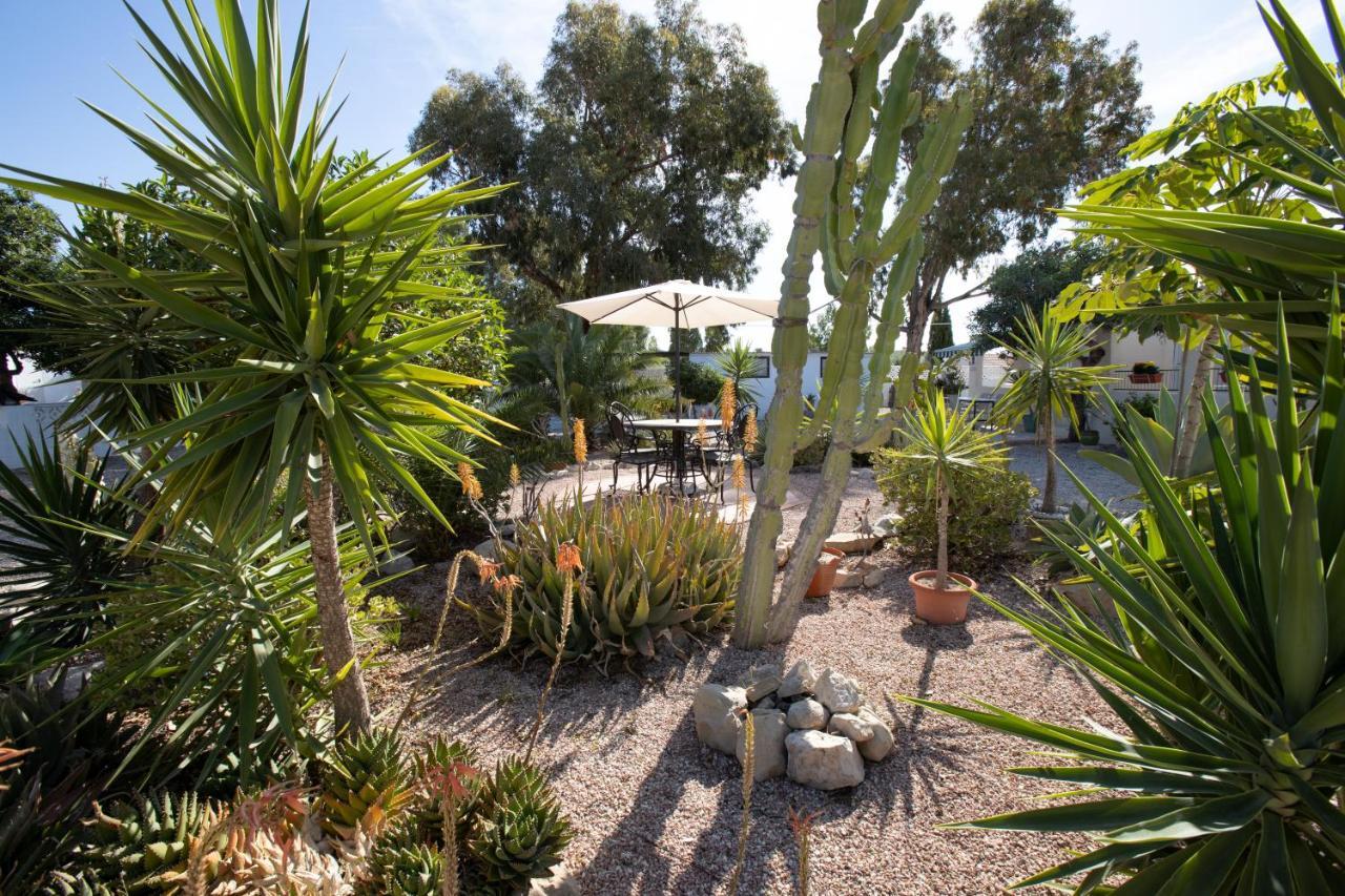 Apartment Costa Blanca Mutxamel Dış mekan fotoğraf
